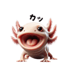 ウーパールーパー4！変態！3Dリアル（個別スタンプ：14）