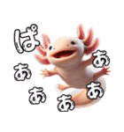 ウーパールーパー3！バスケ！3Dリアル（個別スタンプ：2）