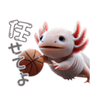 ウーパールーパー3！バスケ！3Dリアル（個別スタンプ：23）