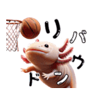 ウーパールーパー3！バスケ！3Dリアル（個別スタンプ：31）