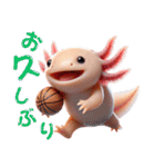 ウーパールーパー3！バスケ！3Dリアル（個別スタンプ：33）