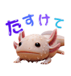 ウーパールーパー3！バスケ！3Dリアル（個別スタンプ：36）