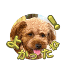 モナちゃん3（個別スタンプ：13）