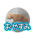 モナちゃん3（個別スタンプ：15）