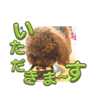 モナちゃん3（個別スタンプ：19）