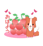 ちびボーダー20【春】（個別スタンプ：1）