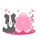 ちびボーダー20【春】（個別スタンプ：4）