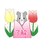 ちびボーダー20【春】（個別スタンプ：5）