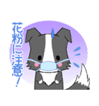 ちびボーダー20【春】（個別スタンプ：11）