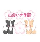 ちびボーダー20【春】（個別スタンプ：12）