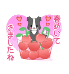 ちびボーダー20【春】（個別スタンプ：13）