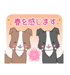 ちびボーダー20【春】（個別スタンプ：16）