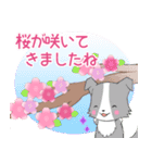 ちびボーダー20【春】（個別スタンプ：19）