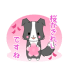 ちびボーダー20【春】（個別スタンプ：20）