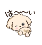 愛犬わんこdeごあいさつ★トイプードル（個別スタンプ：2）