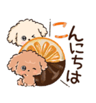 愛犬わんこdeごあいさつ★トイプードル（個別スタンプ：7）