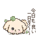 愛犬わんこdeごあいさつ★トイプードル（個別スタンプ：8）