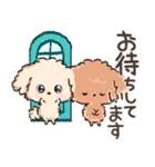 愛犬わんこdeごあいさつ★トイプードル（個別スタンプ：19）