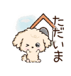 愛犬わんこdeごあいさつ★トイプードル（個別スタンプ：20）