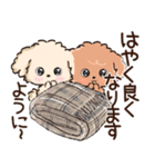 愛犬わんこdeごあいさつ★トイプードル（個別スタンプ：24）