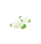 好きなお花で作るアレンジメントスタンプ（個別スタンプ：24）