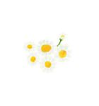 好きなお花で作るアレンジメントスタンプ（個別スタンプ：25）