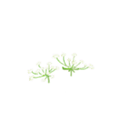 好きなお花で作るアレンジメントスタンプ（個別スタンプ：27）