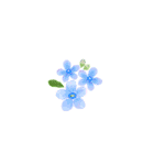 好きなお花で作るアレンジメントスタンプ（個別スタンプ：30）