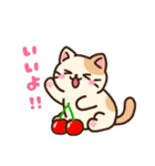 集合！ねこちゃん～春～（個別スタンプ：1）