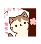 集合！ねこちゃん～春～（個別スタンプ：19）