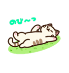 集合！ねこちゃん～春～（個別スタンプ：24）