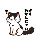 集合！ねこちゃん～春～（個別スタンプ：27）
