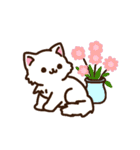 集合！ねこちゃん～春～（個別スタンプ：30）