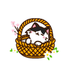 集合！ねこちゃん～春～（個別スタンプ：40）
