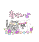 猫玉 春の日常（個別スタンプ：1）