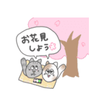猫玉 春の日常（個別スタンプ：2）