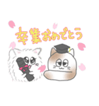 猫玉 春の日常（個別スタンプ：4）