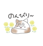 猫玉 春の日常（個別スタンプ：8）
