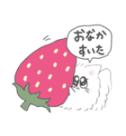 猫玉 春の日常（個別スタンプ：15）