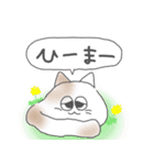 猫玉 春の日常（個別スタンプ：17）