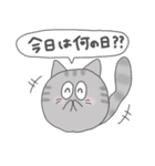 猫玉 春の日常（個別スタンプ：19）