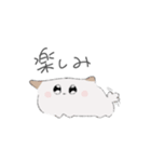 わんさんとテルテルさん（個別スタンプ：1）