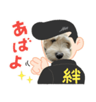 犬用愛犬スタンプ（個別スタンプ：5）