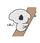 ゆるっと5 コアラ編（個別スタンプ：5）