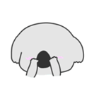 ゆるっと5 コアラ編（個別スタンプ：33）