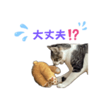 ケイとカイ 3（個別スタンプ：4）
