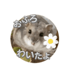 はむちゅっちゅ（個別スタンプ：1）