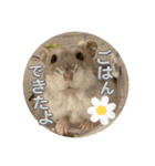 はむちゅっちゅ（個別スタンプ：2）