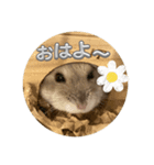 はむちゅっちゅ（個別スタンプ：3）