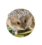 はむちゅっちゅ（個別スタンプ：4）